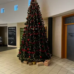 Therme Bad Salzuflen - Bad Salzuflen