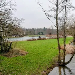 Waldpark Bad Salzuflen - Bad Salzuflen