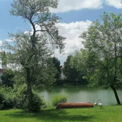 Bad Waldsee Lake (Stadtsee) - Bad Waldsee