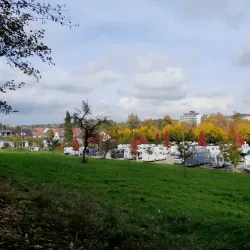 Kurpark Bad Waldsee - Bad Waldsee