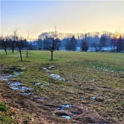 Kurpark Bad Waldsee - Bad Waldsee