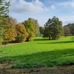 Kurpark Bad Waldsee - Bad Waldsee