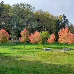Kurpark Bad Waldsee - Bad Waldsee