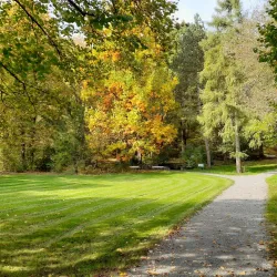 Kurpark Bad Waldsee - Bad Waldsee