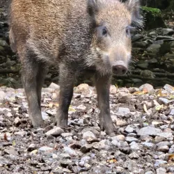 Nature Trails and Hiking Paths - Bad Waldsee