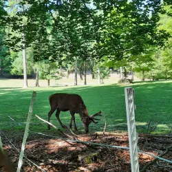Nature Trails and Hiking Paths - Bad Waldsee