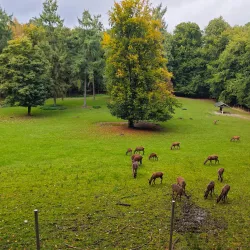 Nature Trails and Hiking Paths - Bad Waldsee