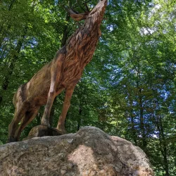 Nature Trails and Hiking Paths - Bad Waldsee