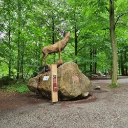 Nature Trails and Hiking Paths - Bad Waldsee