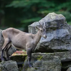 Nature Trails and Hiking Paths - Bad Waldsee