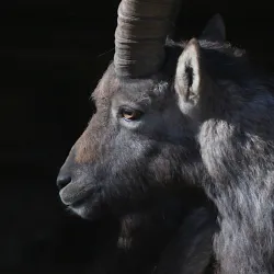 Nature Trails and Hiking Paths - Bad Waldsee