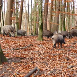 Nature Trails and Hiking Paths - Bad Waldsee