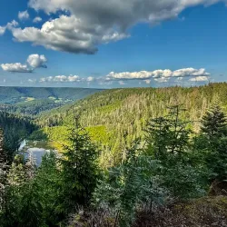 Black Forest National Park (nearby) - Baden-Baden