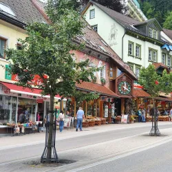 Black Forest (Schwarzwald) - Baden Wurttemburg
