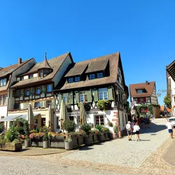 Black Forest (Schwarzwald) - Baden Wurttemburg