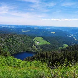 Black Forest (Schwarzwald) - Baden Wurttemburg