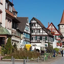 Black Forest (Schwarzwald) - Baden Wurttemburg