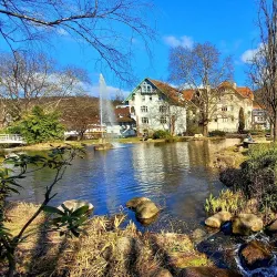 Black Forest (Schwarzwald) - Baden Wurttemburg