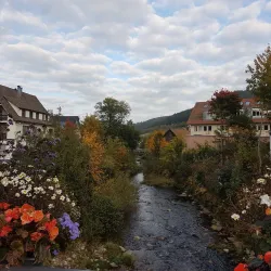 Black Forest (Schwarzwald) - Baden Wurttemburg