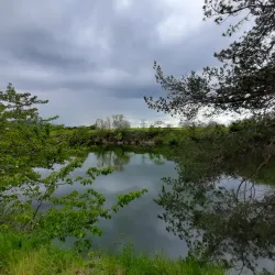 Heuberg Nature Park - Balingen