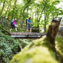 Hossinger Leiter - Balingen