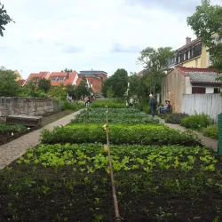 Gärtner- und Häckermuseum (Gardeners and Smallholders Museum) - Bamberg