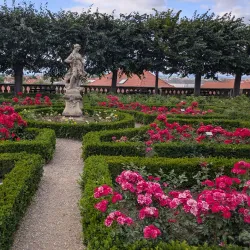 Neue Residenz and Rose Garden - Bamberg
