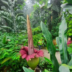 Bayreuth Botanical Garden - Bayreuth