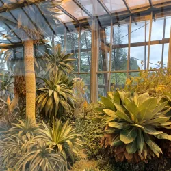 Bayreuth Botanical Garden - Bayreuth