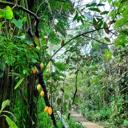 Bayreuth Botanical Garden - Bayreuth