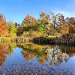 Bayreuth Botanical Garden - Bayreuth