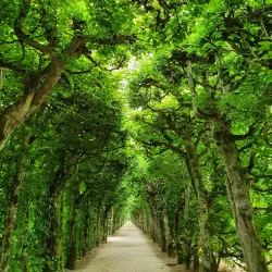 Eremitage Park and Palace - Bayreuth