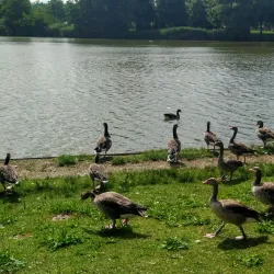 Böblingen City Park (Stadtpark) - Böblingen