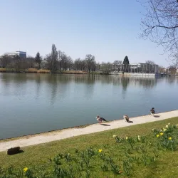 Böblingen Lake (Böblinger See) - Böblingen