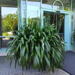 Böblingen Thermal Baths (Therme Böblingen) - Böblingen