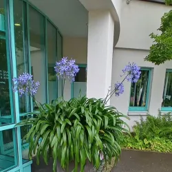Böblingen Thermal Baths (Therme Böblingen) - Böblingen