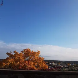 Kunstverein Böblingen (Art Association) - Böblingen