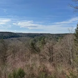 Schönbuch Nature Park - Böblingen