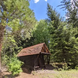 Schönbuch Nature Park - Böblingen