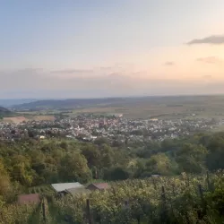 Schönbuch Nature Park - Böblingen