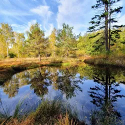 Schönbuch Nature Park - Böblingen