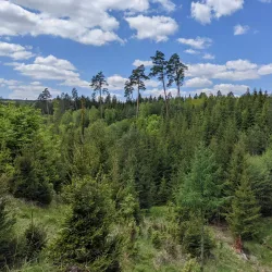 Schönbuch Nature Park - Böblingen