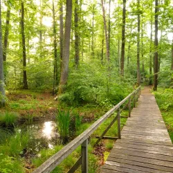 Schönbuch Nature Park - Böblingen