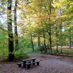 Schönbuch Nature Park - Böblingen