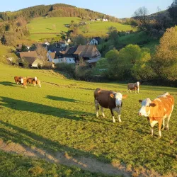 Bergisches Land Nature Park - Bergisch Gladbach