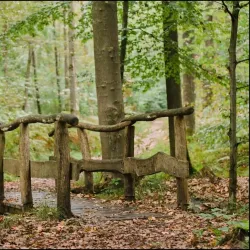 Lohmarer Wald - Bergisch Gladbach