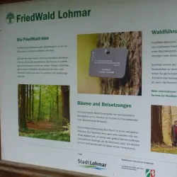 Lohmarer Wald - Bergisch Gladbach