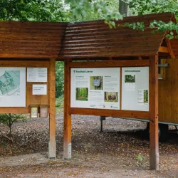 Lohmarer Wald - Bergisch Gladbach