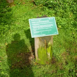 Lohmarer Wald - Bergisch Gladbach