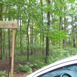 Lohmarer Wald - Bergisch Gladbach